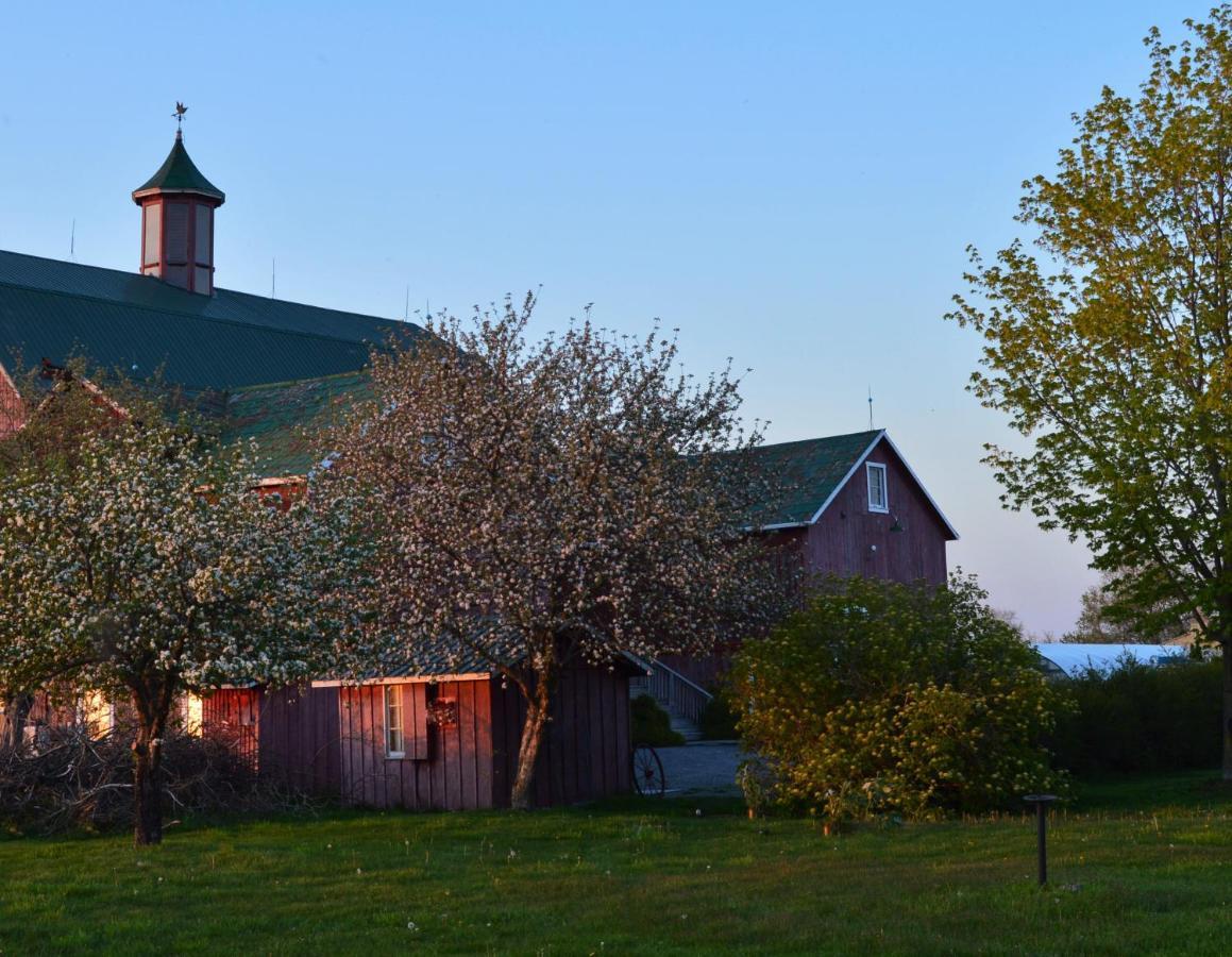 The Eddie Hotel And Farm Bloomfield Exterior photo